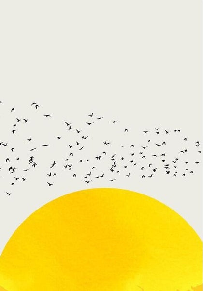 A Thousand Of Birds Abstract Poster