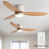 Modern Ceiling Fan
