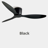 Modern Ceiling Fan
