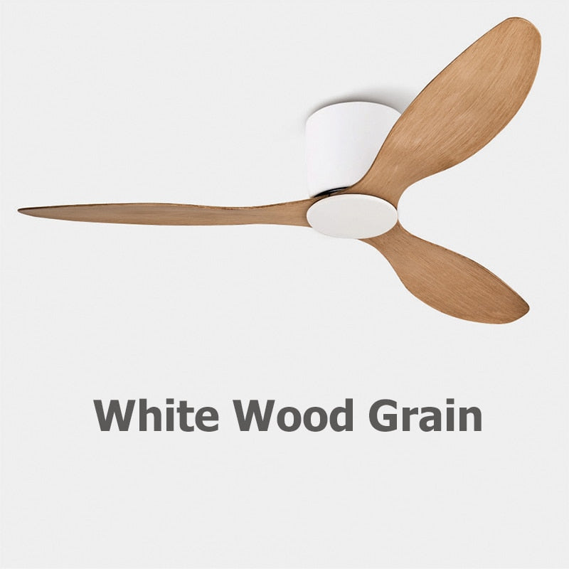 Modern Ceiling Fan LUMIN LAMP HOUSE