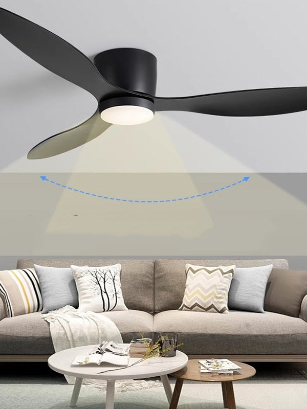 Modern Ceiling Fan