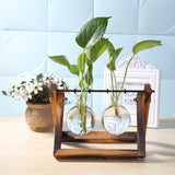 Glass and Wood Vase Planter Terrarium