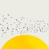 A Thousand Of Birds Abstract Poster